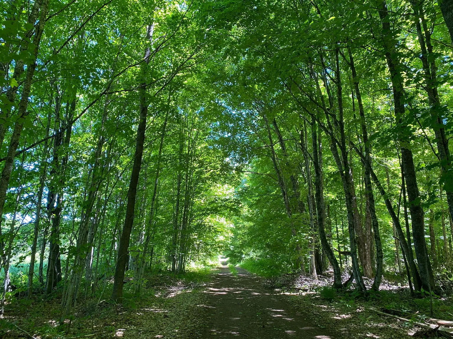 Scenic 120-Acre Property in Ironwood, Michigan