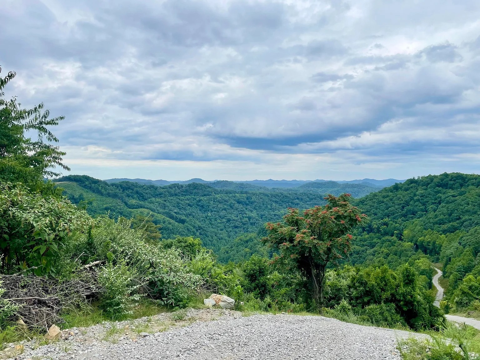 100 Acres of Land in Robinson Creek, Kentucky