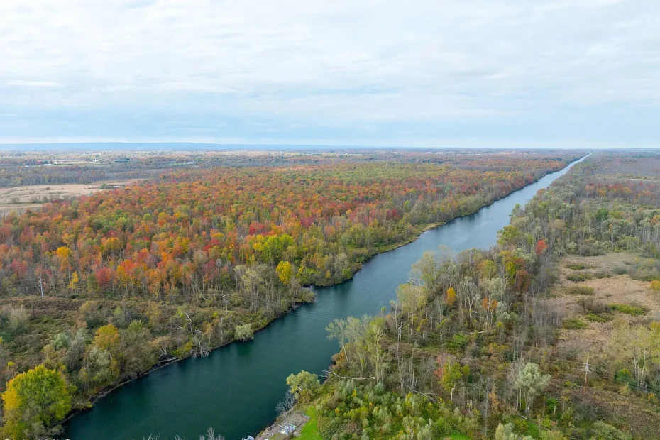 Wooded Retreat on 51 Acres in Rome, New York