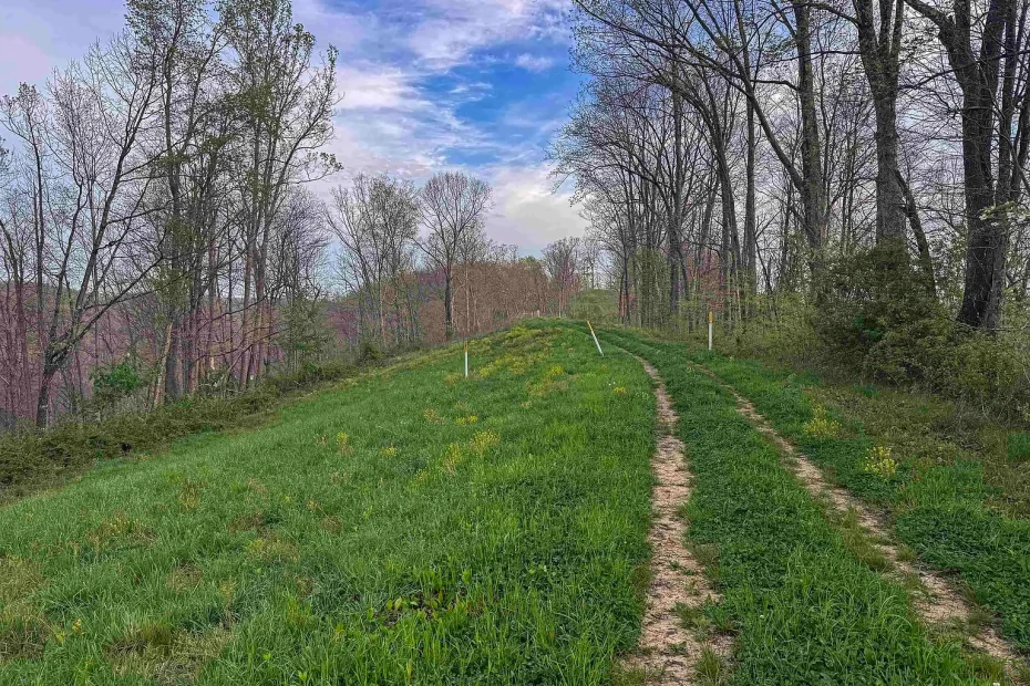 Expansive Ninety-Five Acre Land Opportunity in Littleton, West Virginia