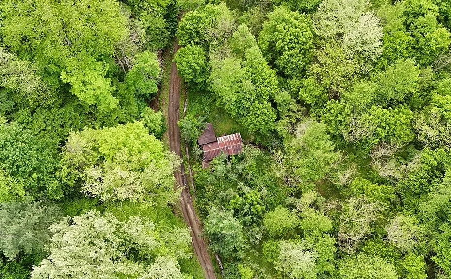 Expansive Rural Retreat on Two Hundred Thirteen Acres in Mouthcard, Kentucky